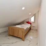 Sun *